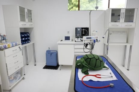 Fernando Frazão/Agência Brasil Belém (PA) 13/12/2024 – Sala do Centro de Reabilitação e Despetrolização de Fauna mantido pela Petrobras para a exploração na Margem Equatorial, que opera de prontidão para tratar animais marinhos em casos de acidentes. Foto: Fernando Frazão/Agência Brasil