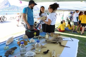 Tomaz Silva/Agência Brasil Rio de Janeiro (RJ), 22/03/2025 – No Dia Mundial da Água, o Clean Up Bay une voluntários para limpeza da praia do Flamengo, na zona sul do Rio de Janeiro. Foto: Tomaz Silva/Agência Brasil