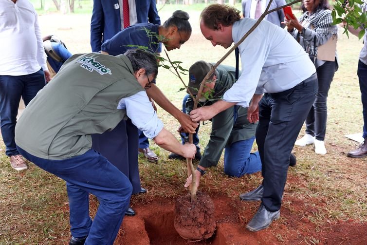 Valter Campanato/Agência Brasil Brasília (DF), 28/04/2025 - A ministra do Meio Ambiente, Marina Silva, participa da comemoração do Dia Nacional da Caatinga com ações para proteção do bioma. Foto: Valter Campanato/Agência Brasil