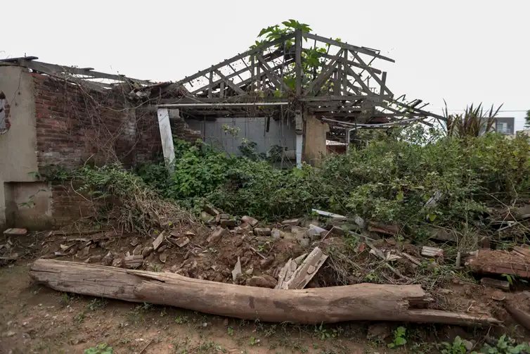Joédson Alves/Agência Brasil Cruzeiro do sul (RS), 27/04/2025 - Bairro passo de estrela, onde todas casas foram destruídas pela enchente de abril 2024.
A um ano o estado foi atingido por temporais que afetou mais de 400 municípios gaúchos, tiveram bairros inteiros alagados. A maior tragédia climática da história, deixou pelo menos 147 mortos e afetou mais de 2,1 milhões de pessoas.
Foto: Joédson Alves/Agência Brasil