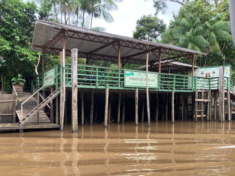 Fabiola Sinimbú/Agência Brasil Brasília (DF), 08/05/2025 - Dona Nena, empresária de bioeconomia no Pará.
Foto: Fabiola Sinimbú/Agência Brasil