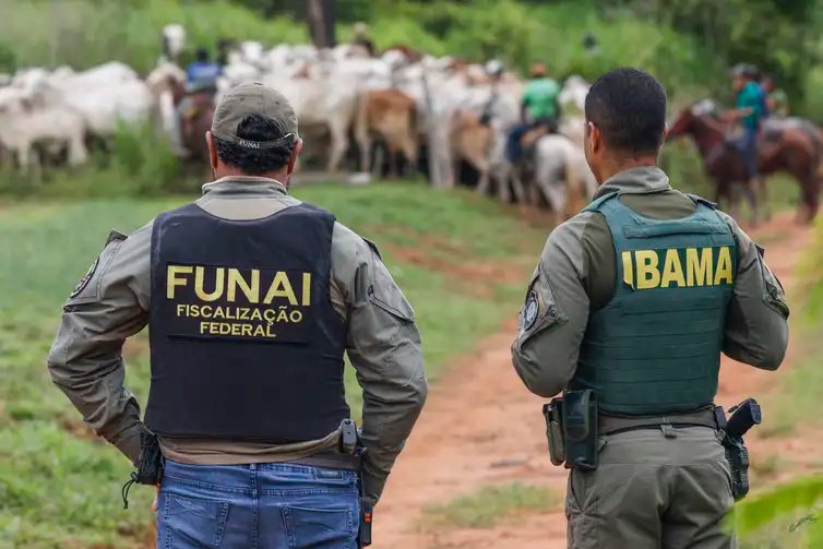 Bruno Peres/Agência Brasil São Félix do Xingu (PA), 16/12/2025 – Colaboradores e fiscais do Ibama são vistos na separação de gado durante ação de desintrusão no território indígena Apyterewa, é realizada de forma integrada, com participação do Ministério dos Povos Indígenas, Funai, Abin, Ibama, Força Nacional, polícias Civil e Militar do Pará e da Agência de Defesa Agropecuária do estado.
Um funcionário do Ibama morreu, nesta segunda-feira (15), após ser baleado durante uma operação para a retirada de invasores na Terra Indígena Apyterewa.
Foto: Bruno Peres/Agência Brasil