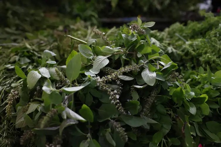 Fernando Frazão/Agência Brasil Rio de Janeiro (RJ), 16/12/2025 – Comércio de ervas para banhos energéticos e espirituais no Mercadão de Madureira. Foto: Fernando Frazão/Agência Brasil