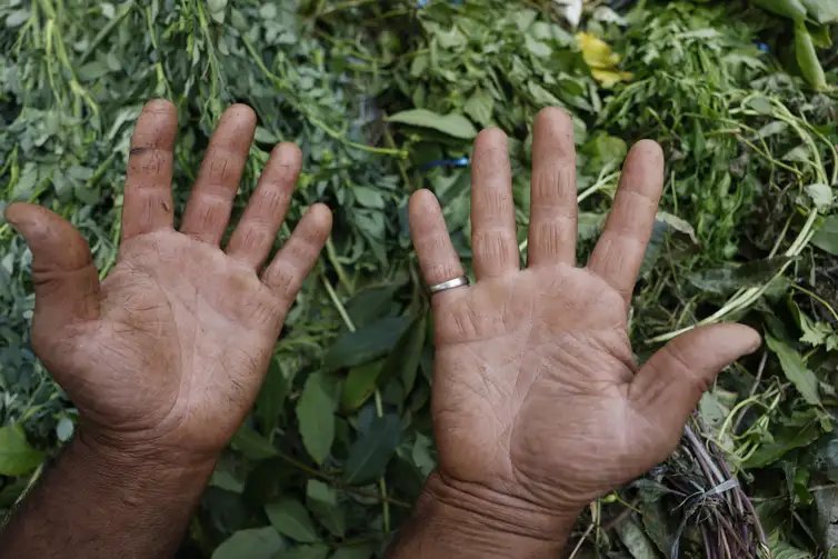 Fernando Frazão/Agência Brasil Rio de Janeiro (RJ), 16/12/2025 – Detalhes das marcas nas mãos de um erveiro que vende ervas para banhos energéticos e espirituais numa rua do Bairro de Fátima. Foto: Fernando Frazão/Agência Brasil