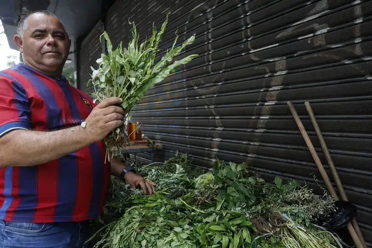 Fernando Frazão/Agência Brasil Rio de Janeiro (RJ), 16/12/2025 – O erveiro José Adaílton de Souza Ferreira mostra as ervas para banho energético e espiritual que vende em um ponto na Rua da Carioca, no centro da cidade. Foto: Fernando Frazão/Agência Brasil