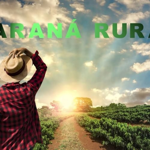 JORNAL RURAL – 01 DE DEZEMBRO/2024 – 07HS (DOMINGO)