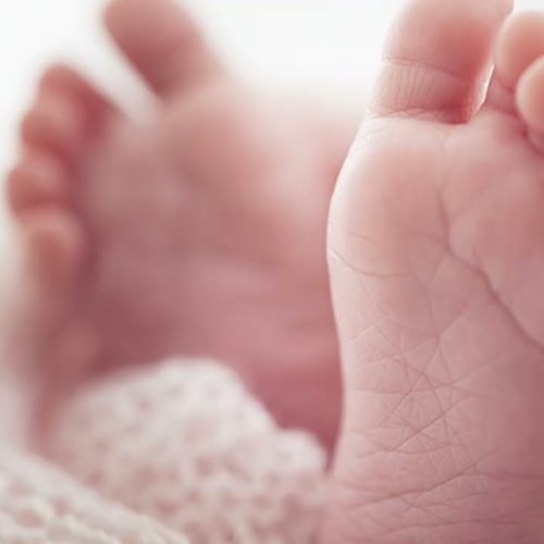 A notícia que faz bem – 05 de dezembro/2024