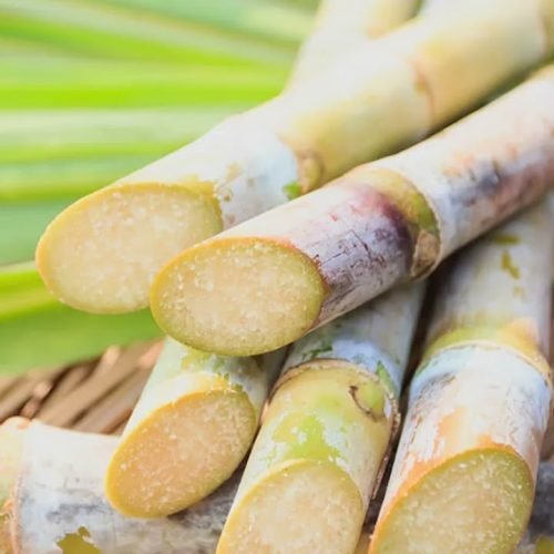 Jornal – Comentário Johnny – 08 de fevereiro/2025