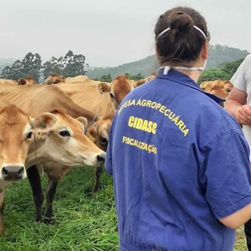 Jornal Paraná Rural – 16 de março/2025 – 07hs