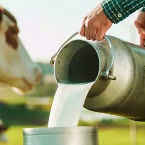 Matéria Orlando Pessuti – 12 de abril/2025