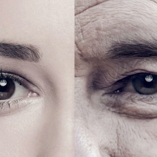 A notícia que faz bem – 19 de julho/2024