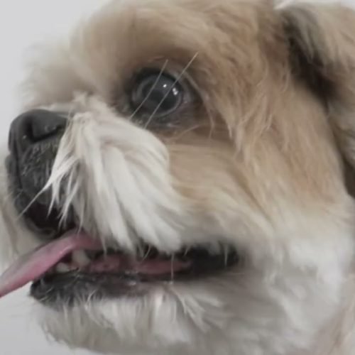 A notícia que faz bem – 24 de agosto/2025