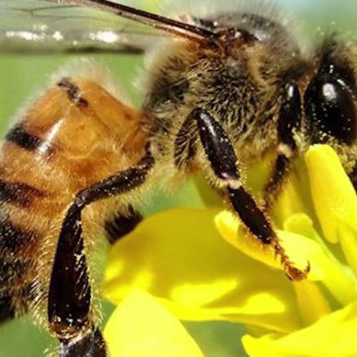 Matéria Paulo Furiati – 21 de setembro/2025