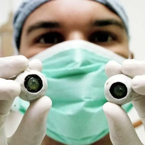 A Notícia que faz bem – 05 de outubro/2025