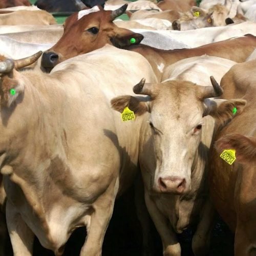 Matéria Orlando Pessuti – 05 de outubro/2025