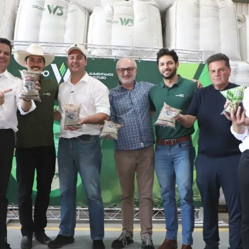 Boletim diário 01 – 30 de dezembro/2025