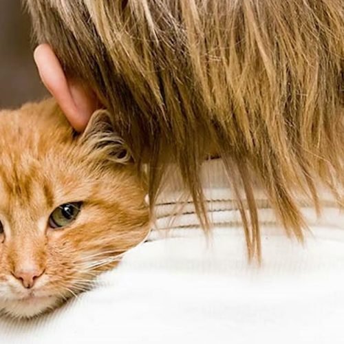 Boletim diário 01 – 27 de fevereiro/2026