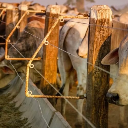 Matéria Orlando Pessuti – 01 de março/2026