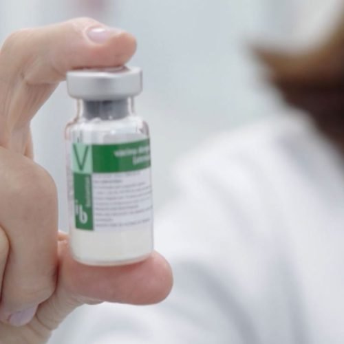 Butantan desenvolve primeira vacina brasileira contra gripe aviária