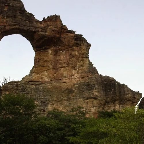 Ecosociobio incentiva economia sustentável nas Unidades de Conservação