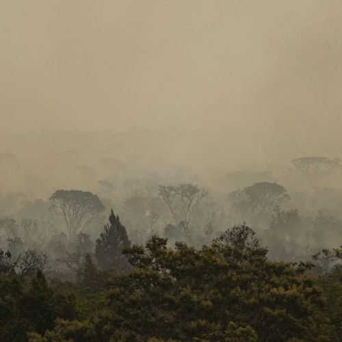 Ibama conta 4,6 mil brigadistas para combater incêndios neste ano