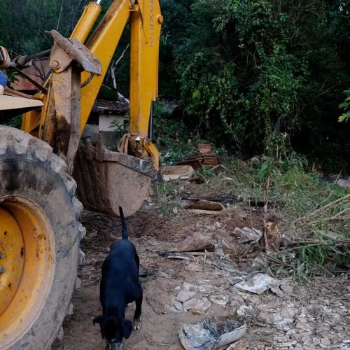 MG: mais de 400 produtores rurais foram prejudicados pelas chuvas