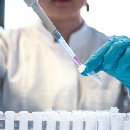 Prêmio Mulheres e Ciência do CNPq tem inscrições até 6 de janeiro